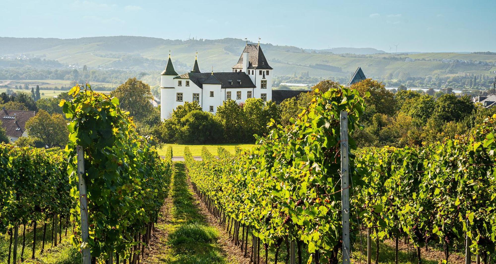 Victor'S Residenz-Hotel Schloss Berg Неннінг Екстер'єр фото Schloss Vollrads